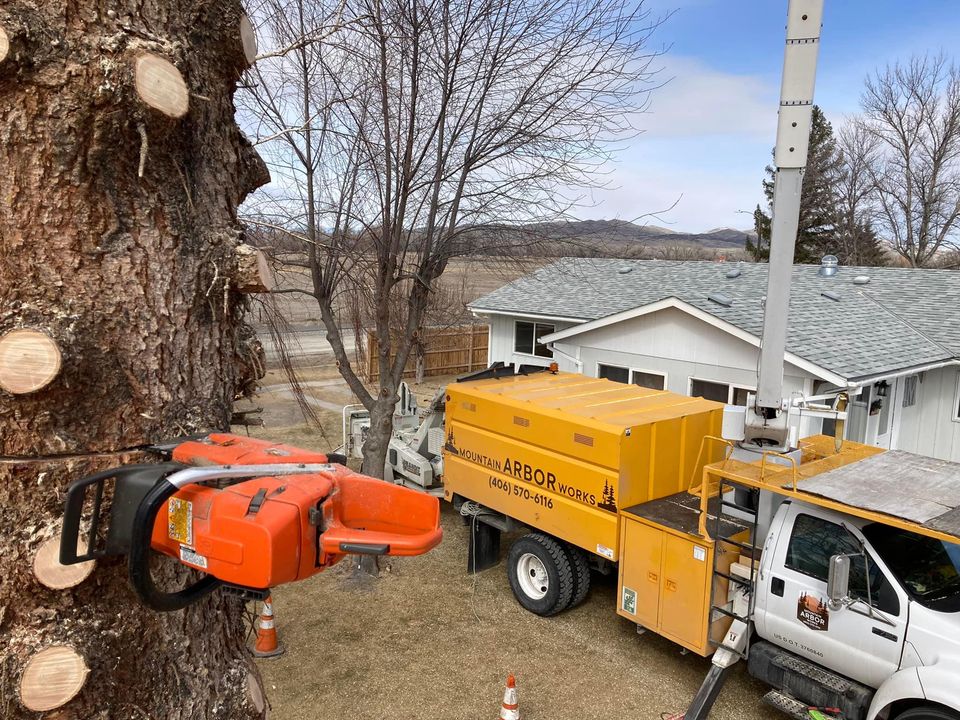 Tree Removal Trimming Stump Grinding Bozeman Belgrade MT